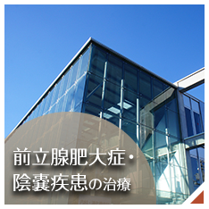 前立腺肥大症、陰嚢疾患の治療バナー